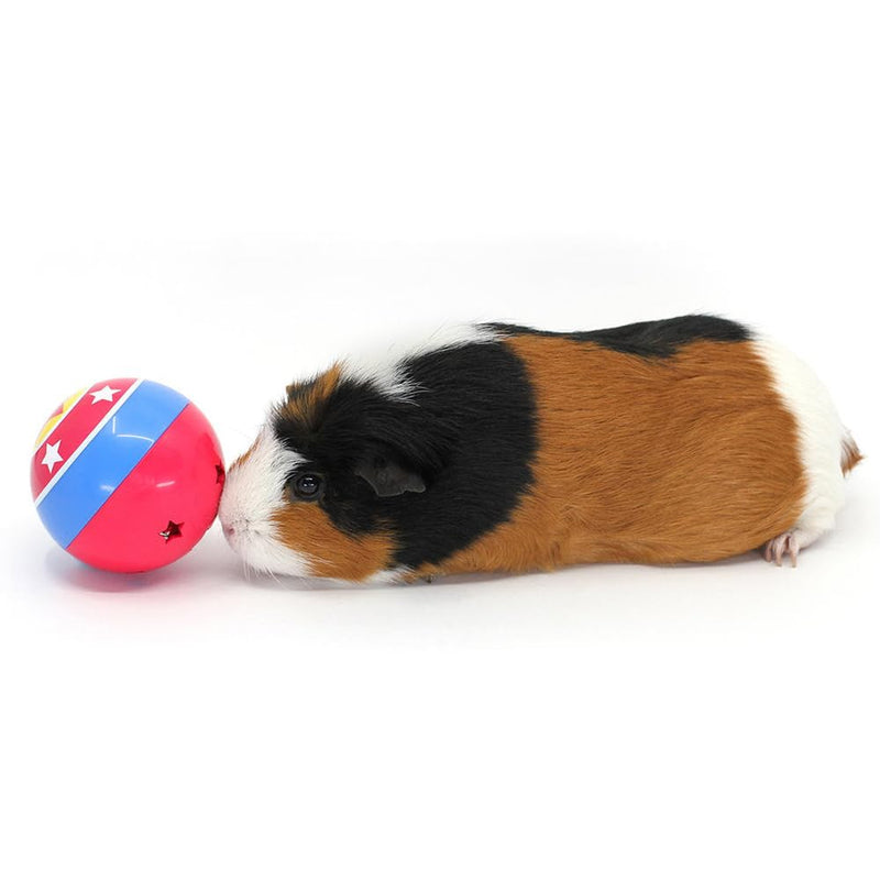 HAYPIGS Treat Ball Variation 1. Treat Ball - PawsPlanet Australia