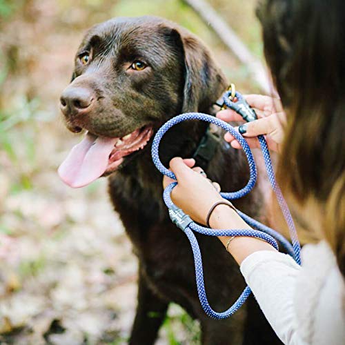 [Australia] - Flowfold Recycled Climbing Rope Dog Leash, Extra Strong and Durable Dog Leash, Rope Leash for Big Dogs, Medium Dogs and Small Dogs 4 feet Green 