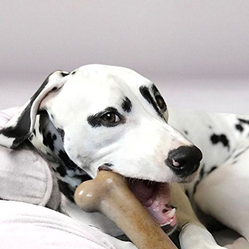 Pet Qwerks Flavor Infused BarkBone - Durable Chew Toy for Aggressive Chewers, Tough Extreme Power Chewer Bones | Made in USA BBQ Small - PawsPlanet Australia