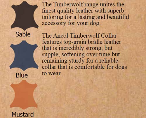 Timberwolf Leather Collar Sable Size 7, To Fit Neck 50-59 cm, Collar Width 2.5 cm - PawsPlanet Australia