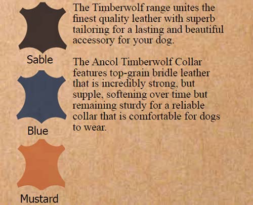 Timberwolf Leather Collar Sable Size 3, To Fit Neck 28-36 cm, Collar Width 1.6 cm - PawsPlanet Australia