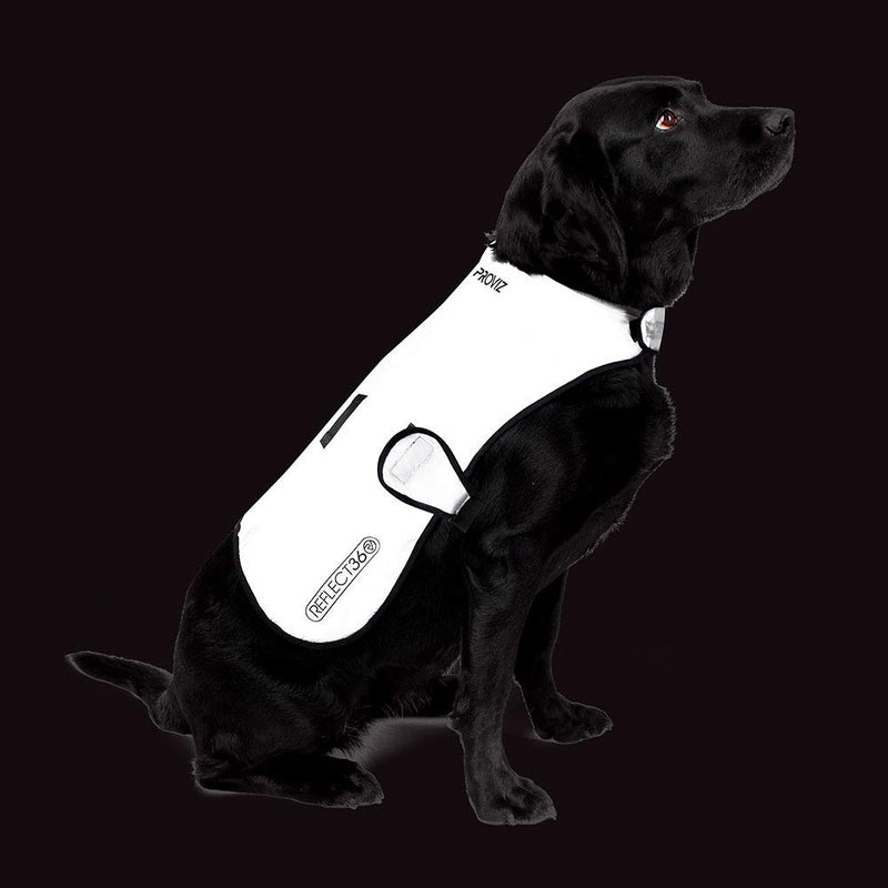 Proviz Waterproof Dog Jacket REFLECT360-100% Reflective and Waterproof (Large) L - PawsPlanet Australia