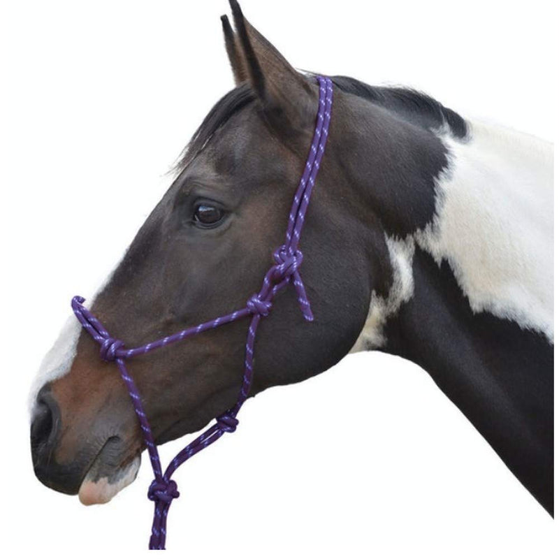 Y-H Hy Rope Halter Black Cob/Full - PawsPlanet Australia