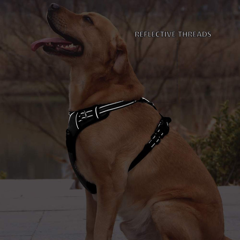 RIDVANVAN Dog Harness No Choke No-Pull Pet Harness Adjustable Soft Padded Vest Reflective Pet Breathable Comfortable Vest for Large Dogs Two Attachment Leash Black Small Small(chest 13.38"-24.80") - PawsPlanet Australia