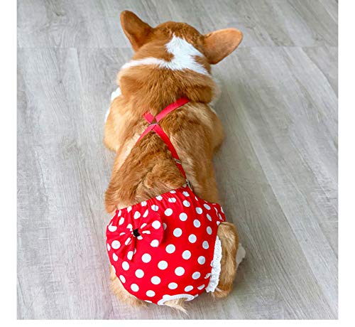 BT Bear Reusable Dog Nappies, Female Dog Nappies Pants Materials Durable Machine Washable Simple Solution For Pet Incontinence & Long Travels M: for waist 38cm～47cm Red Point - PawsPlanet Australia