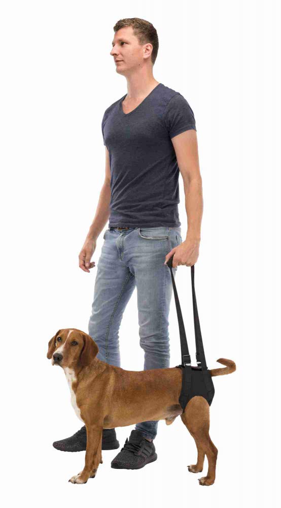 Trixie Walking Aid, Large/X-Large, 75-85 cm, Black - PawsPlanet Australia