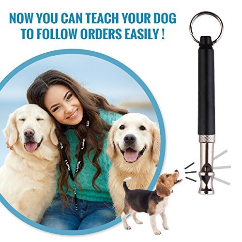LUPO Dog Training Whistle for Recall. Anti Bark Dog Whistle, Lanyard & FREE Training Ebook. Adjustable Silent Ultrasonic Frequencies - PawsPlanet Australia