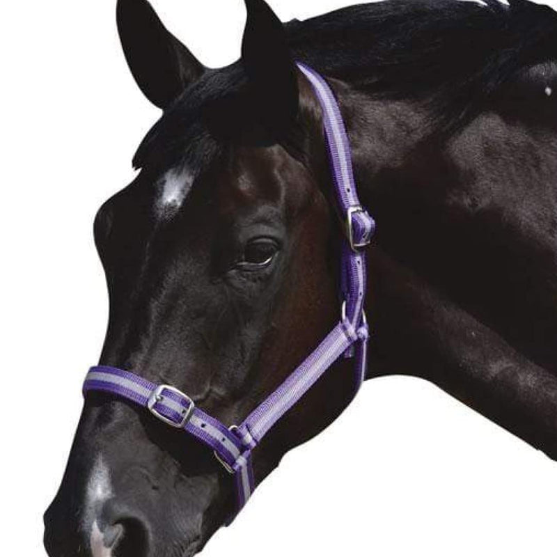 Roma Headcollar and Lead Set - Black Full - PawsPlanet Australia
