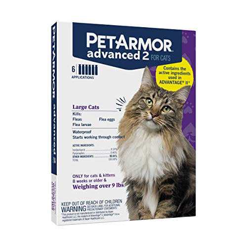 PetArmor Advanced 2 Flea Prevention for Large Cats, 6 Month Supply - PawsPlanet Australia