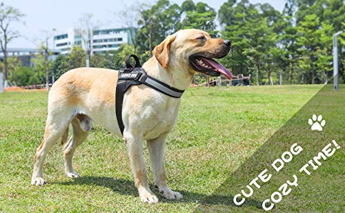 Dog Harnesses Reflective Elements Vest Harness Adjustable & Comfortable Training Dog Harness (Black, S) Black - PawsPlanet Australia