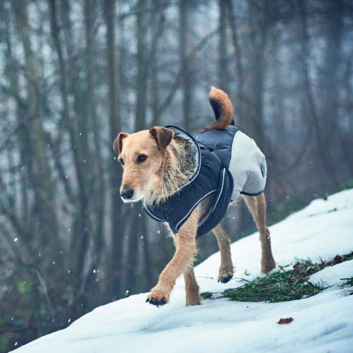 HUNTER Dog coat Uppsala Extreme 40 Black/Grey, S - PawsPlanet Australia