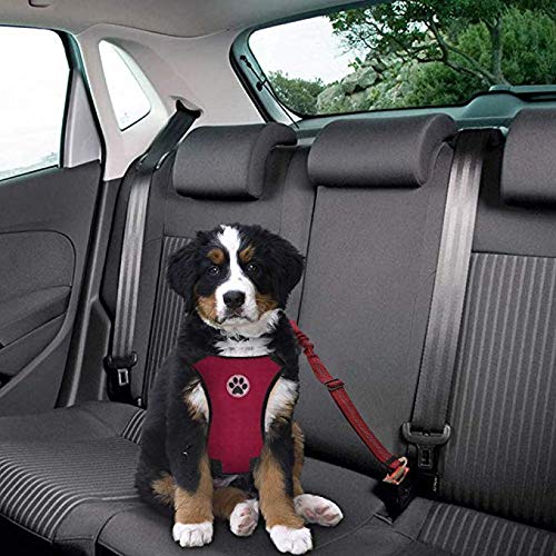 HomeChi dog adjustable car harness seat belt, Comfortable Vest Harness with Safety Seat Belt Adjustable Elastic Strap and Multi-function Breathable Fabric Vest in Vehicle for Dogs Medium Small Large M Red Canvas(harness&seatbelt) - PawsPlanet Australia