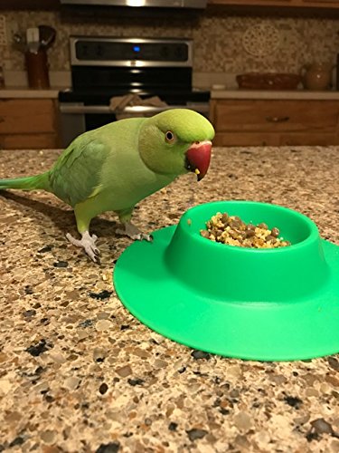 STAYbowl Tip-Proof Ergonomic Pet Bowl for Guinea Pig and Other Small Pets, 1/4-Cup Small Size, Spring Green - PawsPlanet Australia