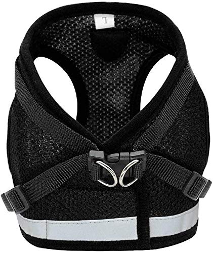 Anlitent Small Sized No Pull Kitten Cat Harness and Lead Set for Walking, Escape Proof Kitten Vest Harnesses with Buckle for Puppy Small Animals/Cats, Easy Fit Cat Collar XS, Black) X-Small - PawsPlanet Australia