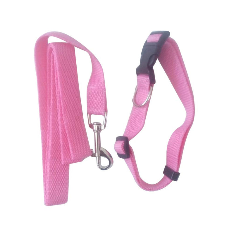 Schone Products (UK) 2 Pieces - pink Nylon Dog Lead and Collar Set – BRIGHT COLOURS FOR NIGHT WALKING - PawsPlanet Australia