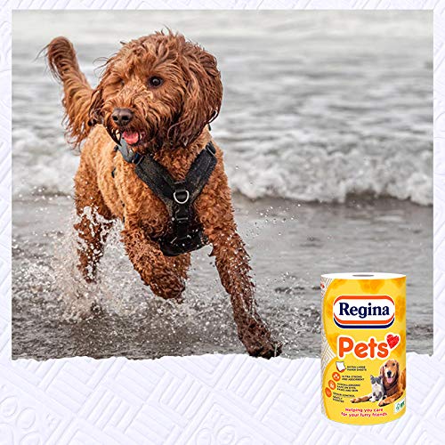 Regina Pets Towel Roll | 6 Rolls | 432 Supersized and Absorbent Sheets | Fragrance Technology That Eliminates Malodours | Hypoallergenic – Safe on Eyes, Paws, and Skin| FSC® Certified Product - PawsPlanet Australia