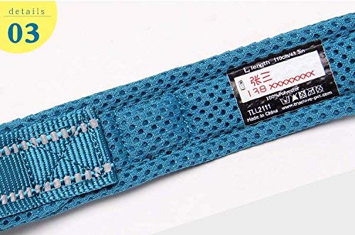 [Australia] - TRUE LOVE Reflective Dog Leash Puppy Walking Lead, Padded Pet Chain Rope，Length 200cm Truelove TLL2111 L Blue 