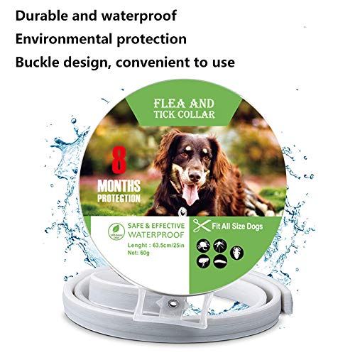 Flea and Tick Collar for Dogs and Cats, Flea Treatment for Puppy Kitten, Adjustable Size, Waterproof Natural Safe, 8 Months Protection,1 Pack (Small) Small - PawsPlanet Australia