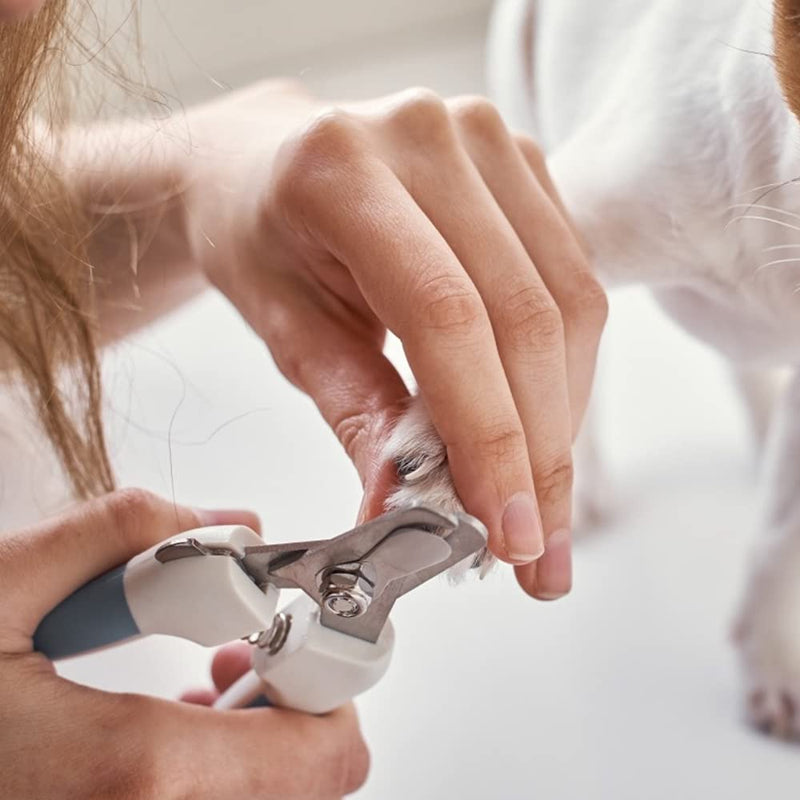 Dog Nail Clippers, Dog Nail Trimmer Grooming Hammock Dog Grooming Harness for Nail Trimming, Restraint Soft Bag for Pet Bathing Washing Grooming, Trimming Nails - PawsPlanet Australia