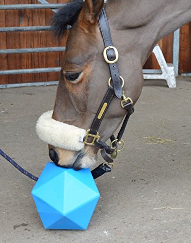 Nats Horse Treat Ball 9", 6 liter Treat Feeder Boredom Breaker, (Blue) Blue - PawsPlanet Australia