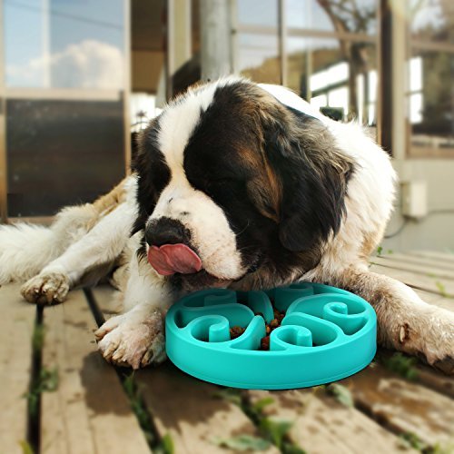 [Australia] - Pedy Pet Fun Feeder Dog Bowl Slow Feeder, Slow Feed Dog Bowl, Bloat Stop Dog Bowl, Slow Feed Interactive Puzzle Non-Skid 