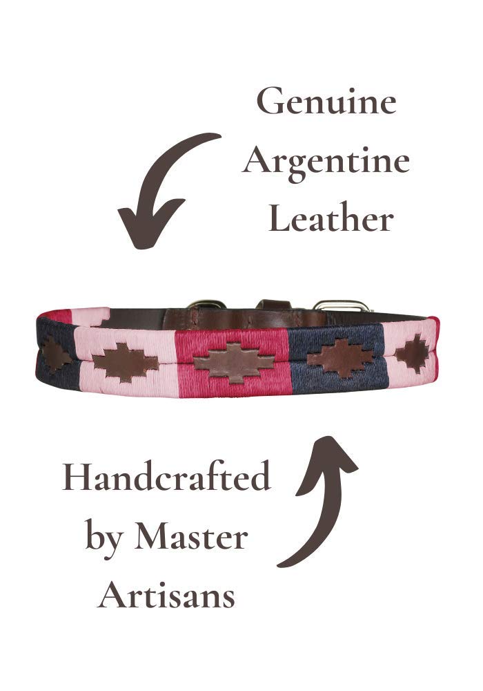 Petalo Premium Argentine Leather Handcrafted Polo Dog Collar - Gift Boxed by pampeano | Collars for all Breeds | 2.5cm Wide, Top Grain Brown Leather Stainless Steel Buckle L/ 55cm - PawsPlanet Australia