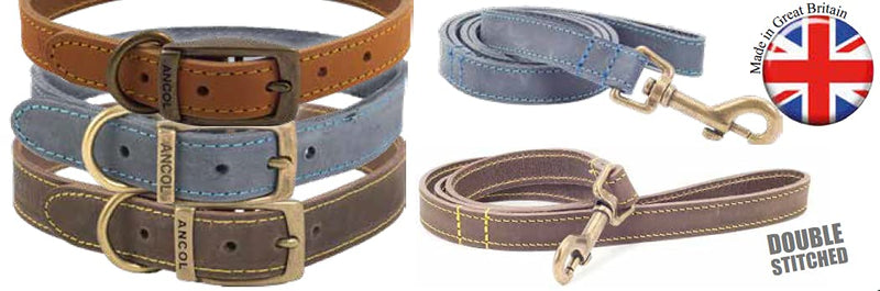 Ancol Timberwolf Leather Dog Collar Mustard. To fit neck 28-36cm ( Size 3) - PawsPlanet Australia