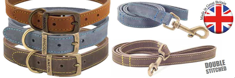 Ancol Timberwolf Leather Dog Collar, Mustard. To fit neck 26-31 cm ( size 2) - PawsPlanet Australia