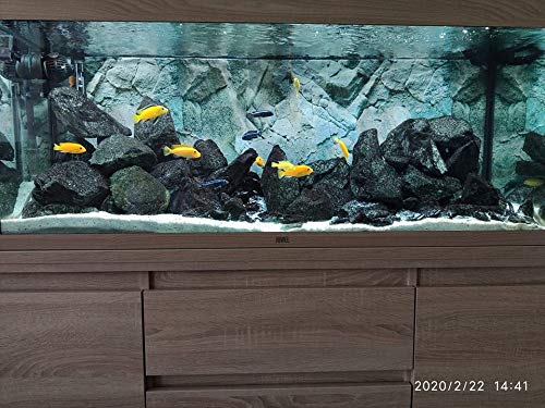 Aquarium Decoration Rock Fish Tank Natural Stone GREEN ANGEL 1kg Set - PawsPlanet Australia