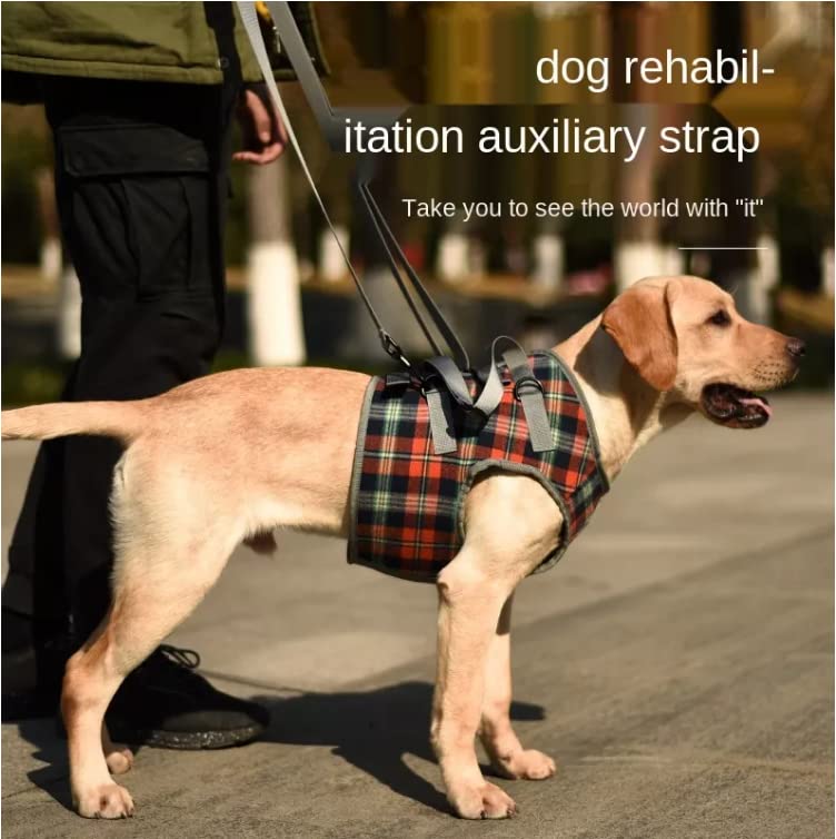 XTrador dog harness walking aid for dogs especially for problems with the shoulder carrying strap for injured, older or musculoskeletal limited dogs rehabilitation safety walking aid (XL) XL - PawsPlanet Australia