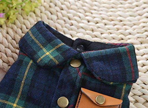 [Australia] - BBEART Pet Clothes, England Plaid Double Layer Flannel T-Shirt Autumn Winter Warm Dog Clothes for Small or Medium Pet Dogs Clothing Chihuahua Yorkshire Poodle Apparel Costumes M Green 