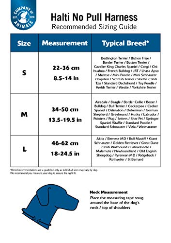 Halti No Pull Harness and Training Lead Combination Pack, Stop Dog Pulling on Walks, Includes Medium No Pull Harness and Double Ended Lead M - PawsPlanet Australia