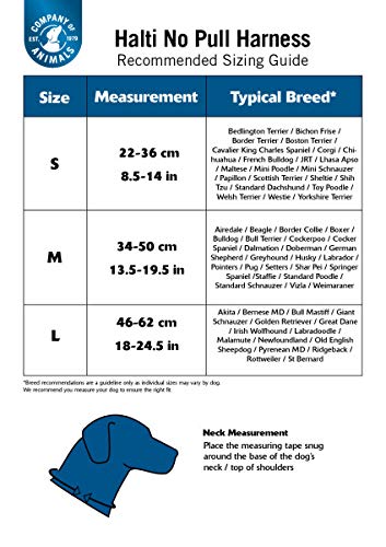 Halti No Pull harness and training leash combo pack, stops dog pulling on walks with Halti, including large Halti No Pull harness and double-sided leash, black (14329W) Large Harness - PawsPlanet Australia