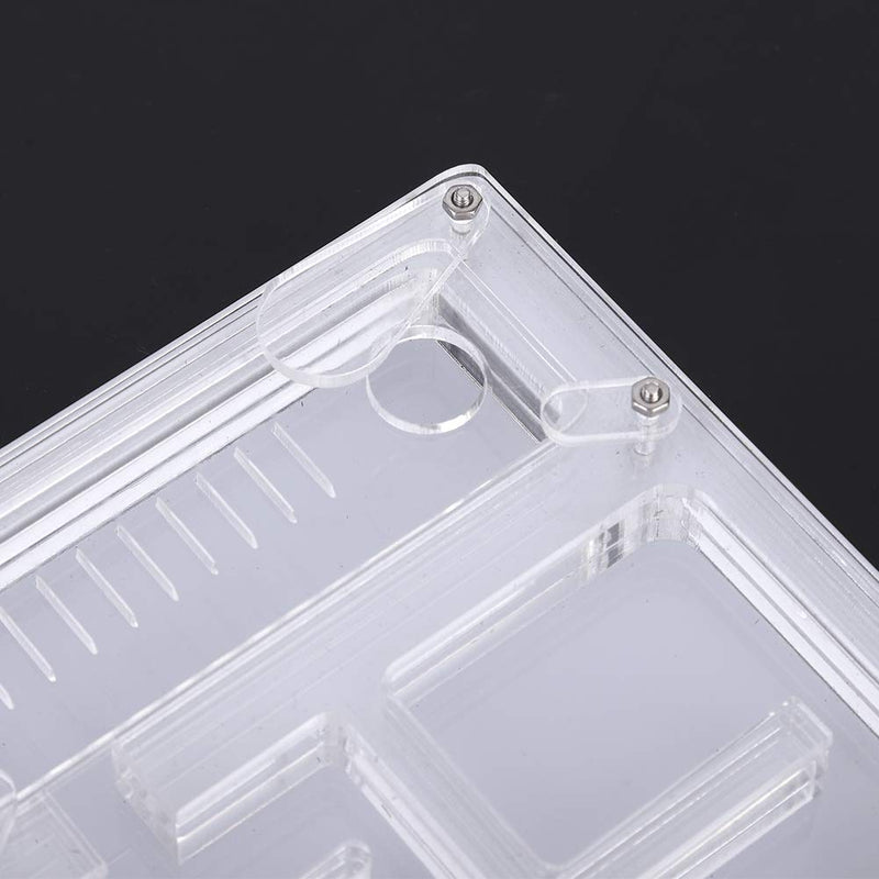 Live Ant Farm Acrylic Insect Breeding Box Transparent Ant Display Box Ant Feeding Box Ant Habitat - PawsPlanet Australia