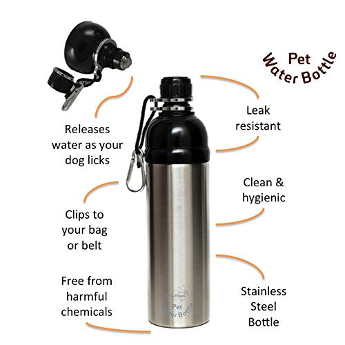 Long Paws Pet Water Bottle, 750 ml, Silver, Large, Lick 'n Flow Dog Bottle - PawsPlanet Australia