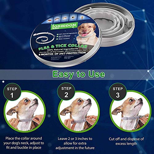 Flea and Tick Prevention Collar One Size Fits All Dogs and Cats Flea and Tick Control with Adjustable Design - PawsPlanet Australia