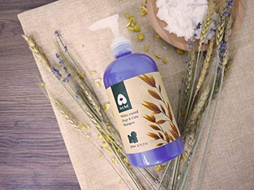 [Australia] - ArfArf Anti ltch & Allay Irritation Oatmeal Dog Shampoo for Dry Itchy Skin - Natural Dog Shampoo for Smelly Dogs - Tearless Formula for Your Dog's Comfort | Hypoallergenic Dog Shampoo | Made in Taiwan | (White Coated Pet Shampoo) White Coated Pet Shampoo 