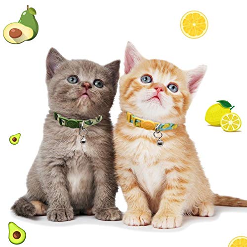 azuza Cat Kitten Collar Breakaway with Bell Quick Release Safe Buckle Adjustable Cat Kitten Collar Cat Collar ( 8“-12”) - PawsPlanet Australia