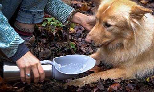 Portable Dog Water Bottle for Walking - Travel Bottles for Dogs with Folding Silicone Leaf Shaped Bowl 27oz Gray - PawsPlanet Australia