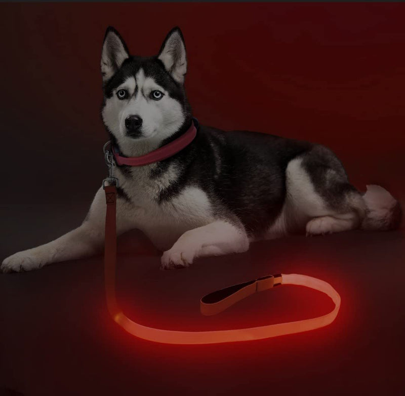 (Shared Products ) LED Dog Leash, Light Up Dog Leash, Micro USB Rechargeable, Waterproof, Nylon Webbing, Glow Safety Standard Dog Leashes (Ruby Red with 2 Reflective Wires) - PawsPlanet Australia