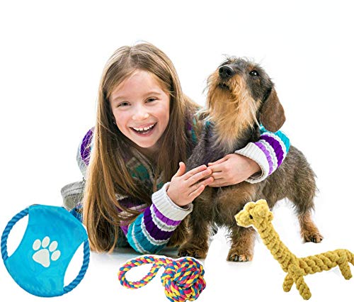 Janlyy Pet Dog Toys Dog Chew Rope Toys Set Non-toxic Material Durable Interactive Toys for Puppy Medium Dogs(5 Pack, Random Color) - PawsPlanet Australia