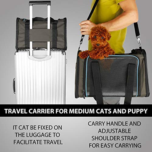 X-ZONE PET Airline Approved Pet Carriers,Soft Sided Collapsible Pet Travel Carrier for Medium Cats and Puppy (Medium, brown&blue) M (Pack of 1) - PawsPlanet Australia