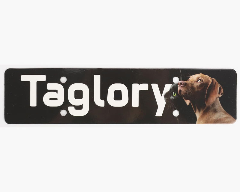 Taglory Dog Collar, Soft Padded Neoprene Nylon Dog Collar for Large Dogs, Adjustable and Reflective for Training, Black L (Pack of 1) - PawsPlanet Australia