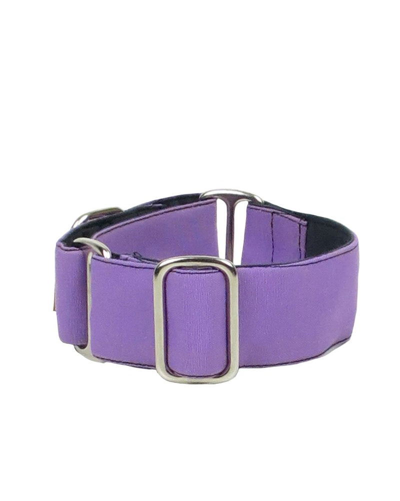 ThePetLover Martingale Collar for Dogs, L, Multicoloured and Lilac - PawsPlanet Australia