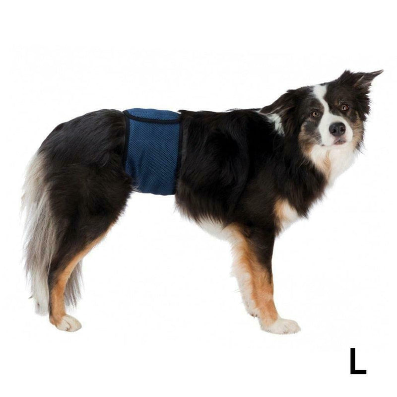 Trixie belly band for male dogs, L: 55-65 cm - PawsPlanet Australia