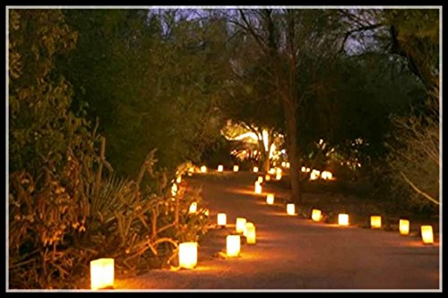 Joinwin50 White Luminary Bags-Sunburst Design-Wedding,Reception, Party and Event Decor - Flame Resistant Paper - Luminaria-light Holder Luminaria Candle Bag Christmas Festival Outdoor home Decoration - PawsPlanet Australia