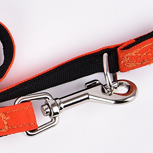 [Australia] - Puppia PLRA-AL9323-OR-M Orange Trek Lead Pet-Leashes, Medium 