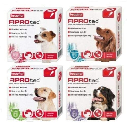 Beaphar FIPROtec Dog Spot On Flea & Tick Solution (X-Large Breed, 4 Pipette ~ 4 Treatment) - PawsPlanet Australia