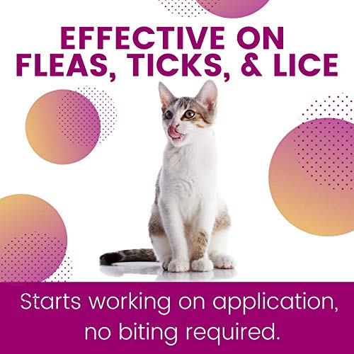 ZoGuard Plus Flea and Tick Prevention for Cats, Over 1.5 lbs 3 Dose - PawsPlanet Australia