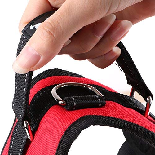 Pet Dog Harness No Pull Adjustable Pet Walking Harness Dog Body Vest Comfort Control for Dogs in Walking Training-Red-M-Chest 52-62cm Neck 49-56cm M - PawsPlanet Australia